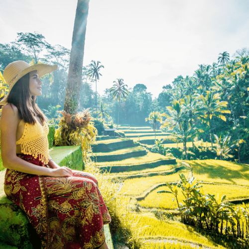 Bedugul Highland Tour – Handara Gate & Jatiluwih Rice Terrace