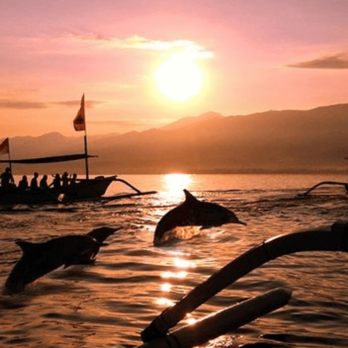 Lovina Sunrise Dolphin Watching Tour
