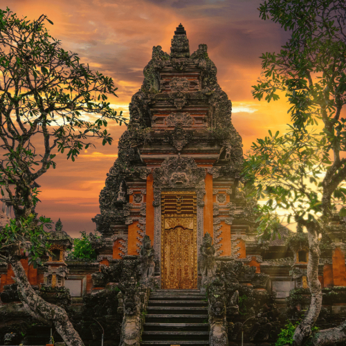 Ubud Adventure Tour – Tegalalang Rice Terrace, Bali Swing & Goa Gajah Temple