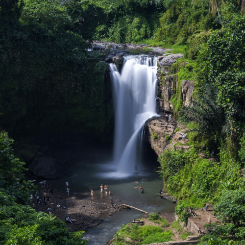Ubud Highlights Tour – Monkey Forest, Tegalalang Rice Terrace & Tegenungan Waterfall